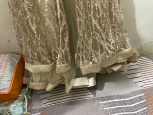 Elegant Ethnic Gown