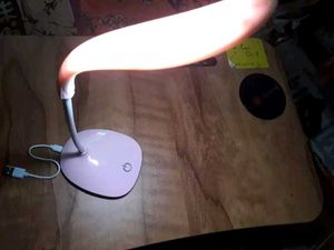 Cute Panda Plush with Pink Lamp