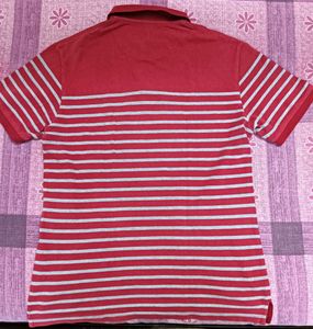 Red Polo Tshirt 👕
