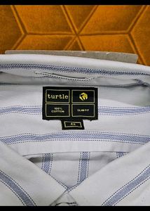 Turtle Striped Shirt