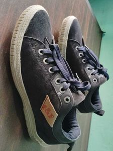 Casual Shoes