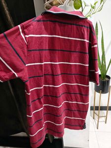 Striped Polo T-Shirt