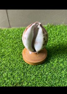 Shankh Pen Stand