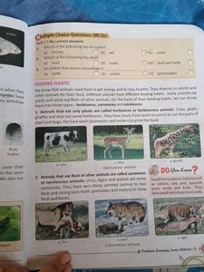 Learning Science, Grade 5 - Cordova