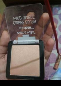 Wet N Wild Ombre Blusher