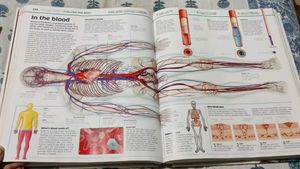 Big Encyclopedia  So Much Knowledge 📚