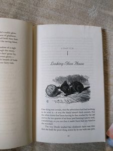 Fiction Fantasy novel