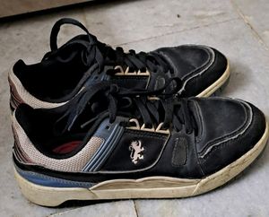 Casual Shoes