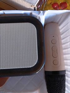 Foldable Speaker