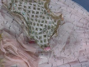 Embroidered Lehenga Choli