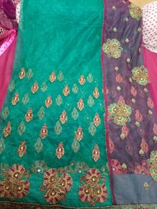 net saree with superb contrast with blouse