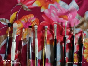 10 Eyeshadow brushes