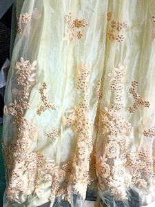 Beautiful Long Party Wear Gown