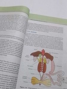 Plus One  English &amp; Biology Textbooks