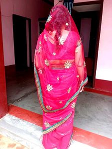 VIDYA EMBROIDERED NET SAREE with( B.)
