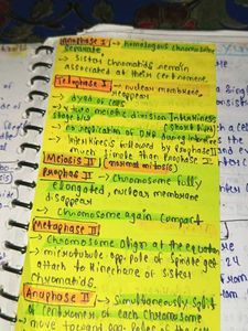 Handwritten Biology Notes