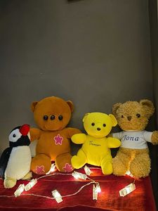 Cute Plush Toy Collection with penguin Freebie