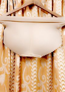 Price Drop - High Waisted Padded Panty.