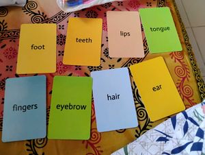 Kids Body Parts Cards And Magnetic Alphabets