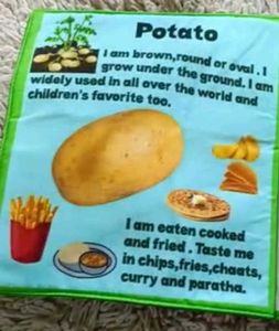 SOFT CLOTH BOOKS - HEALTHY VEGETABLES