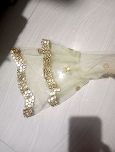 Elegant Gold Embroidered Lehenga Choli