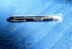 Capgemini Flashlight Pen