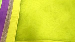 Parrot Green Net Duppata