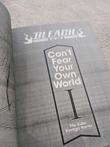 Bleach: Can&#39;t Fear Your Own World I