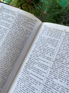 Navneet English marathi dictionary
