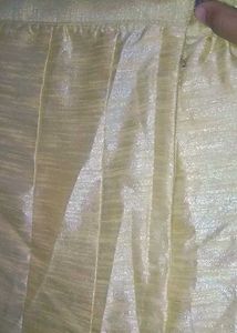 Ethnic Skirt