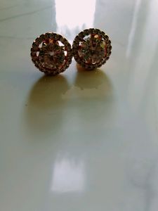 Exquisite Earrings