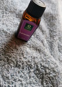 Organic Harvest Lavendar Essential Oil