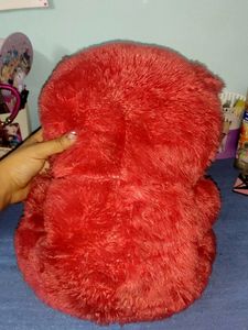 Red Teddy Bear
