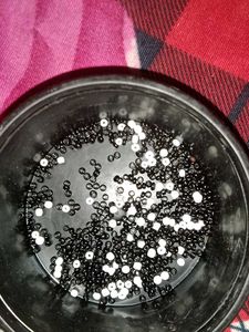 Black &amp; White Seed Beads
