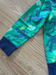 Boys Green Dragon Sweatshirt