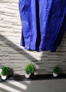 Blue Long Sleeve Button Down