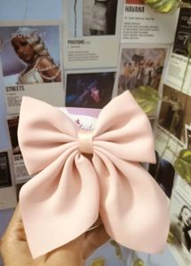 Blush Charm: Soft Pink Bow Clip