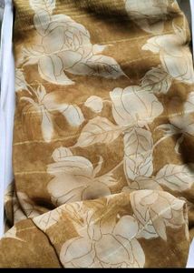 Simple Saree
