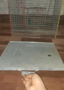 New Bird Cage