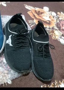 Combo Of Men Shoes