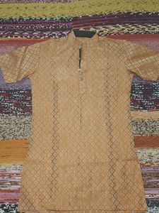 Men's Ethnic Woven Design Kurta