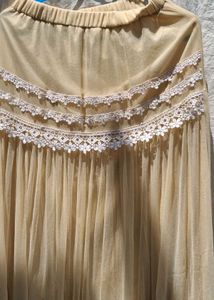 Vintage Lace Trim Tulle Skirt