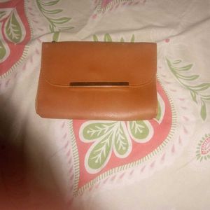 Tan Wallet