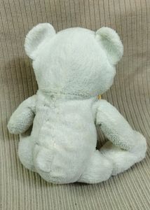 Very Cute White Bear