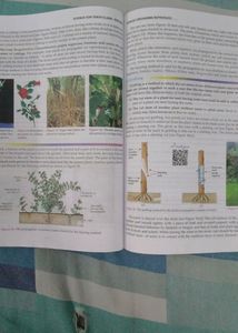 All 3 Lakhmir Singh Manjit Kaur Science Class 10