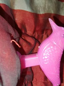 Vintage Pink Bird Whistle