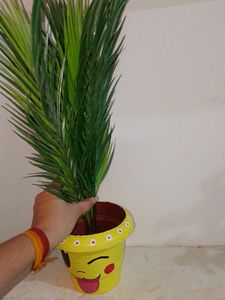 Artificial Plant in Hand-Painted Smiley Pikachu 😉