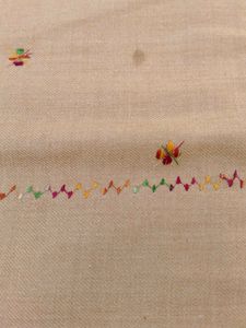 Elegant Embroidered Shawl