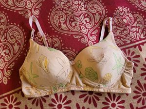 Shell Print Bra Women