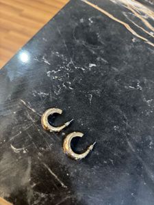 Westside Hoop Earrings✨